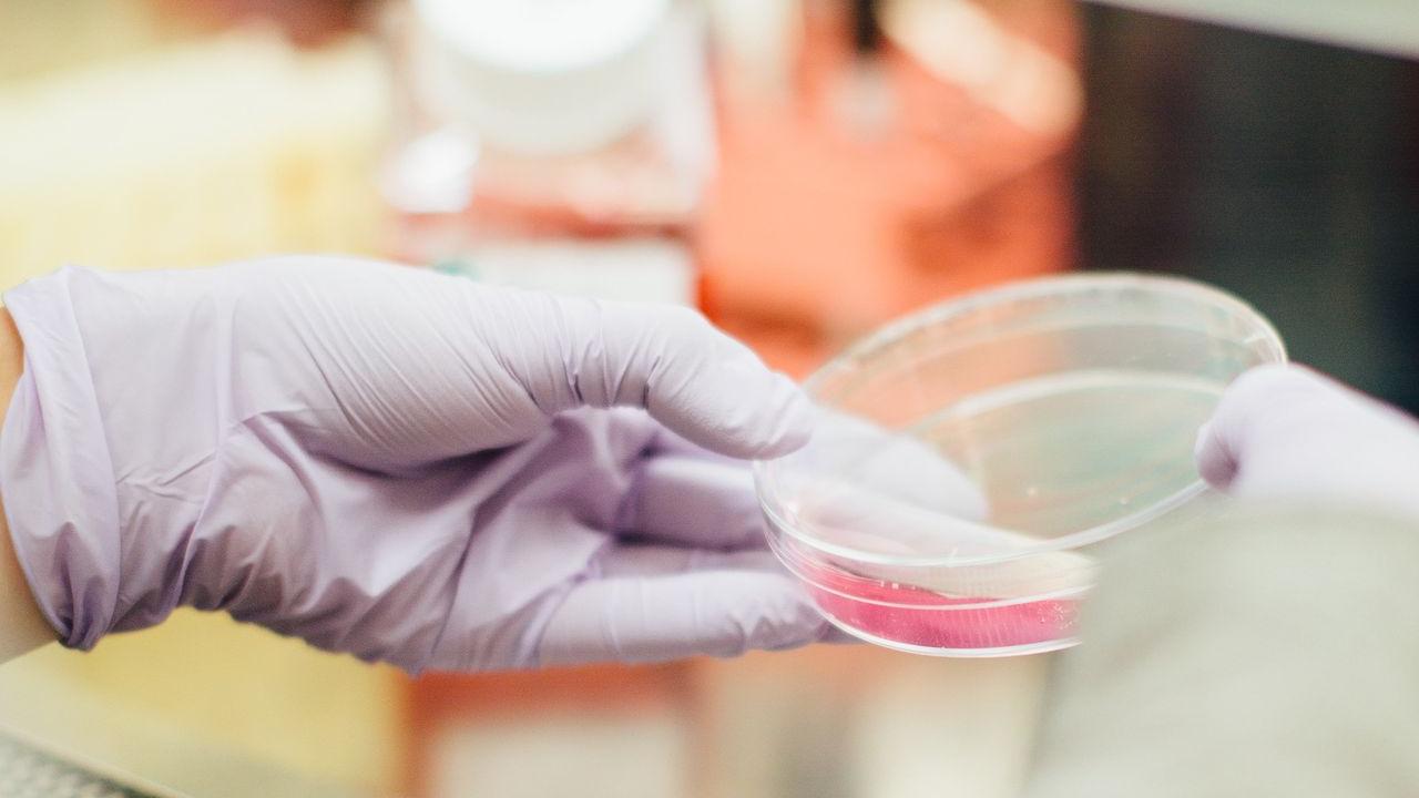 Healthcare & Life Sciences Healthcare & Life Sciences