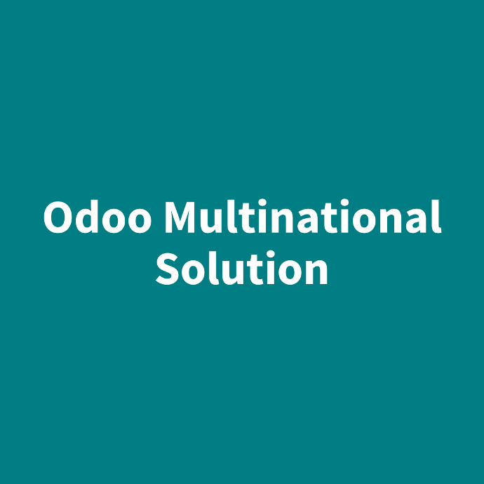 Multinational Solution Multinational Solution