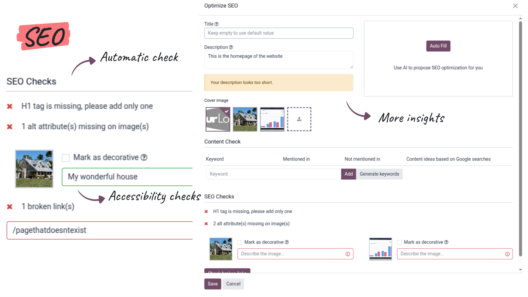 Odoo 19 Website SEO