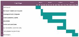 Example Timeline Direct Project Start